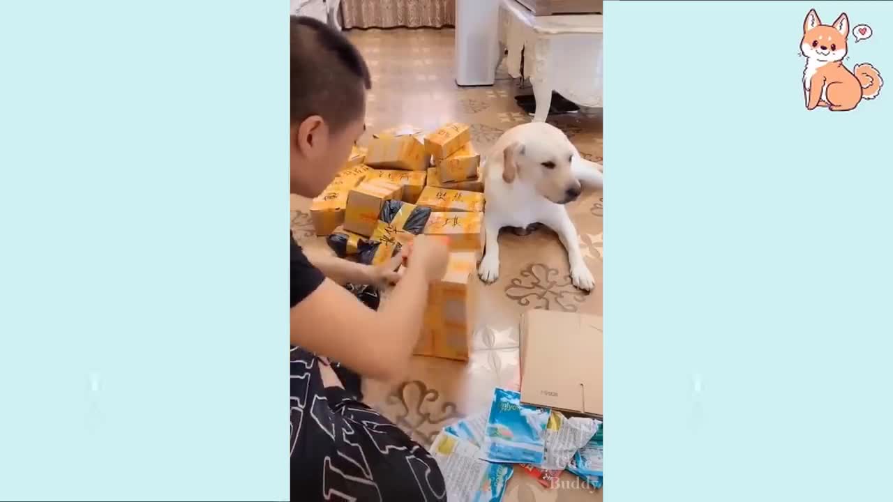 You will laugh at all the DOGS 🤣 Funny DOG Videos