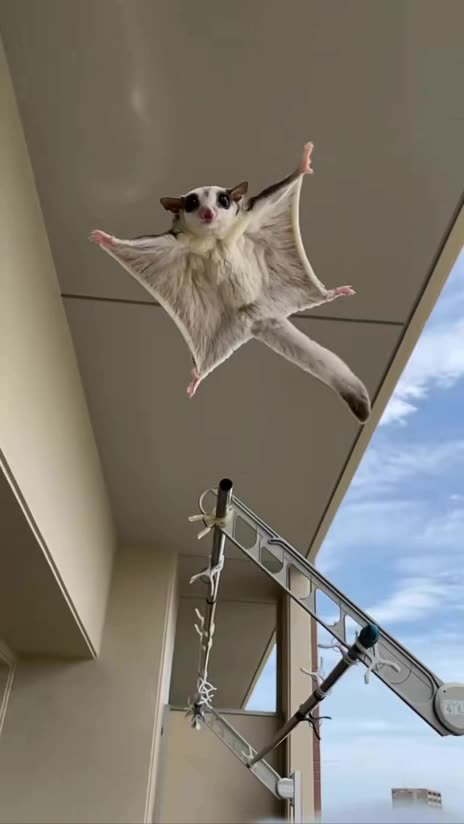 Head over heels 😍