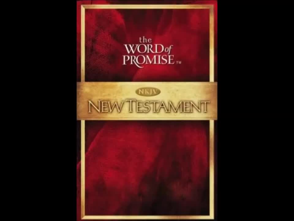 The Book Of James Audiobook