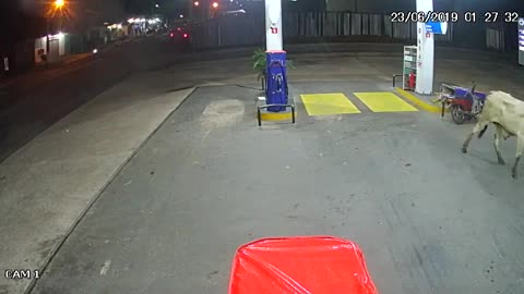 BOI ATTACKS CUSTOMERS AND DROPS FUEL PUMP