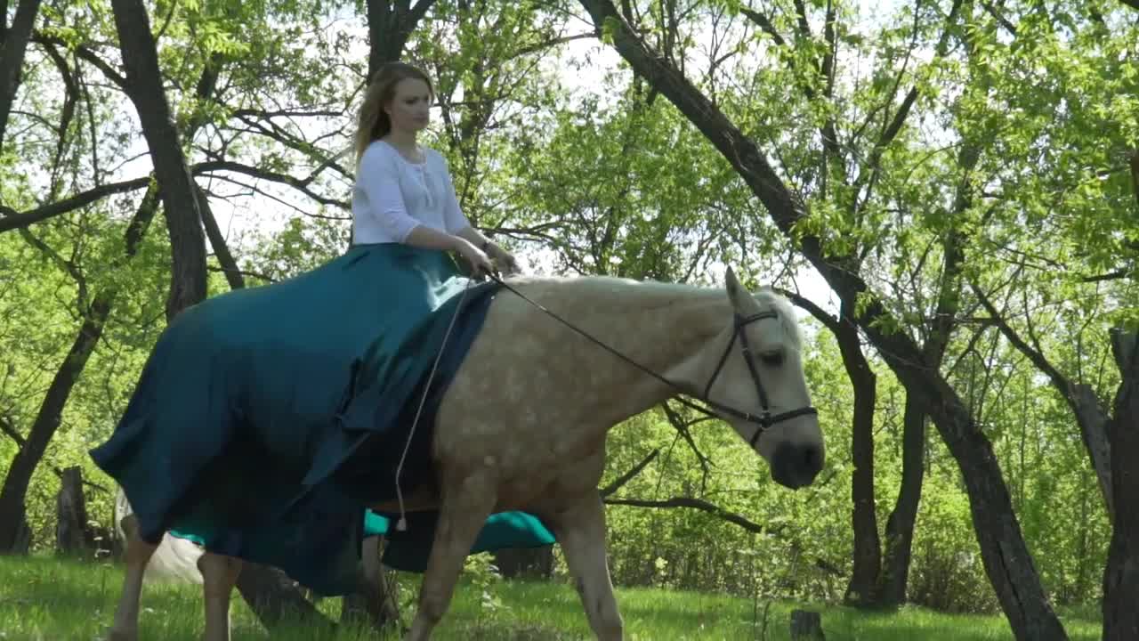 Young beautiful woman rider riding a white horse on the field