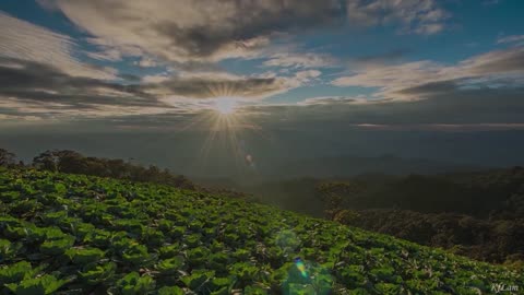 Thailand Landscape Timelapse 2020