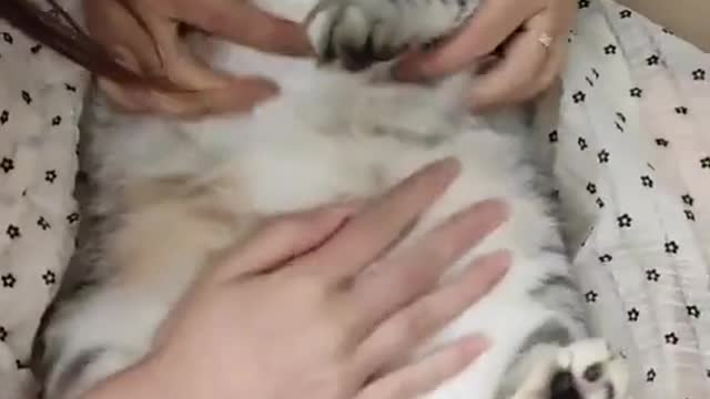 Help me help me