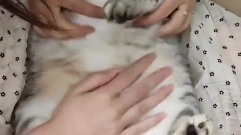 Help me help me