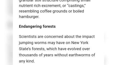 Asian Jumping Worms Could Wind up in New York