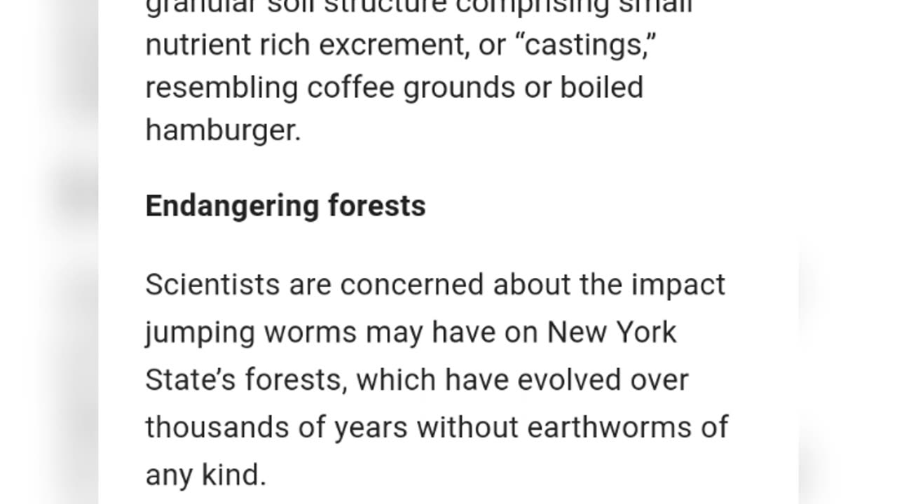 Asian Jumping Worms Could Wind up in New York