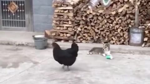 Cutest baby animals Videos Compilation Cute moment of the Animals