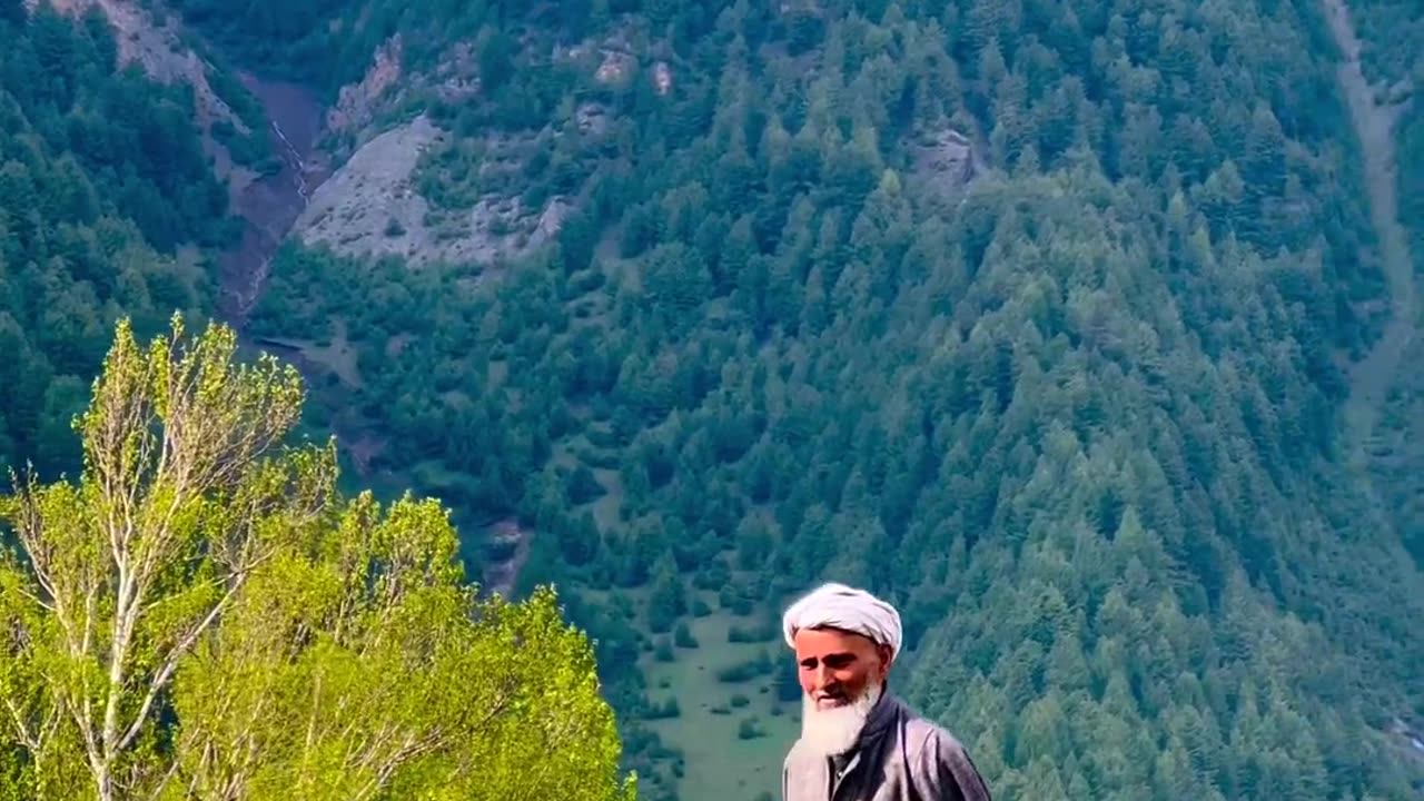 Nature video 4k -kashmir valley