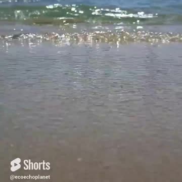 🌌ASMR Beach Day to Relax Vol 147