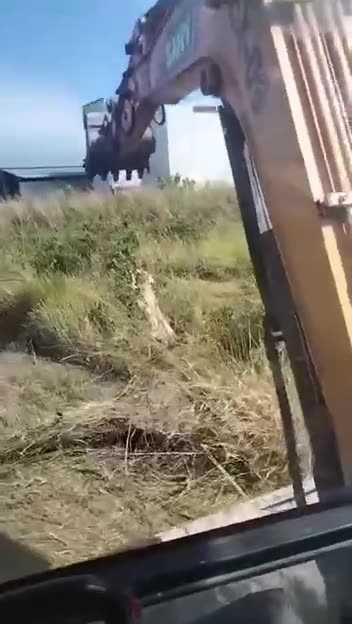 News Break: hornets nest