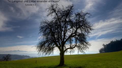 Sonntagsandacht für den 23. Oktober
