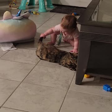 Pulling her sisters cats tail