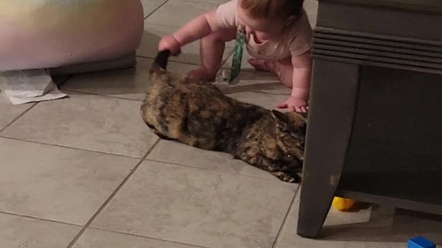 Pulling her sisters cats tail