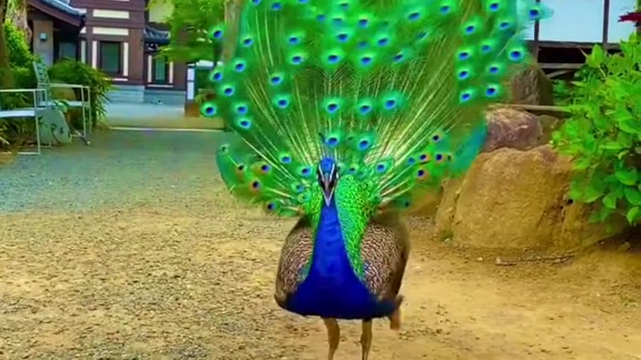 #nature #photography
