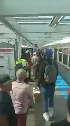 An individual attempted a robbery on Red Line Train at Chinatown, Chicago and was subsequently shot