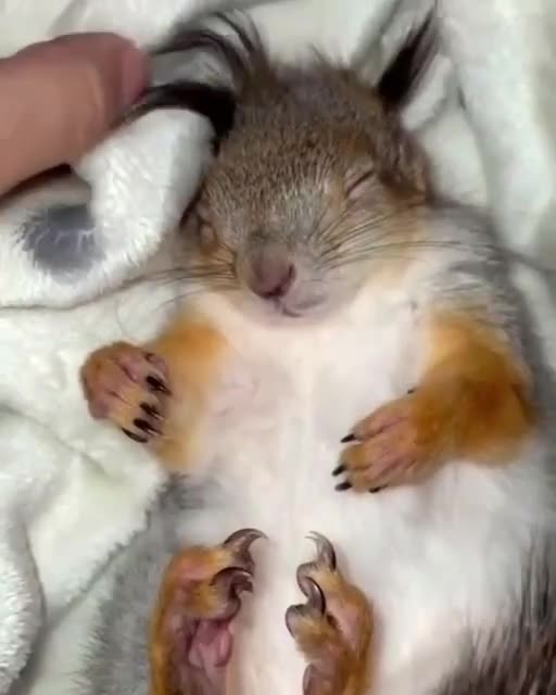 Good morning sleepyhead 😂😂