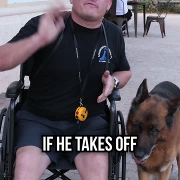 How Banning E-Collars Would Effect Wheelchair Users