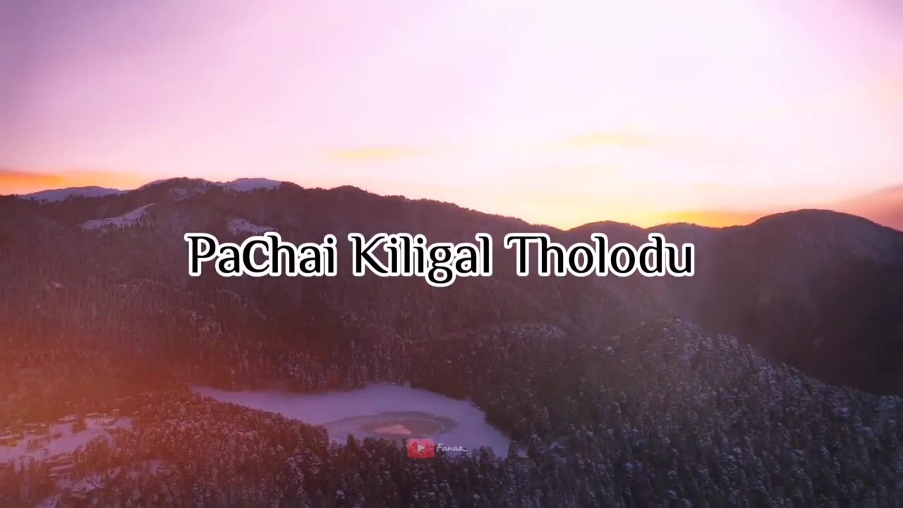 Pachai Kiligal Tholodu instrumental