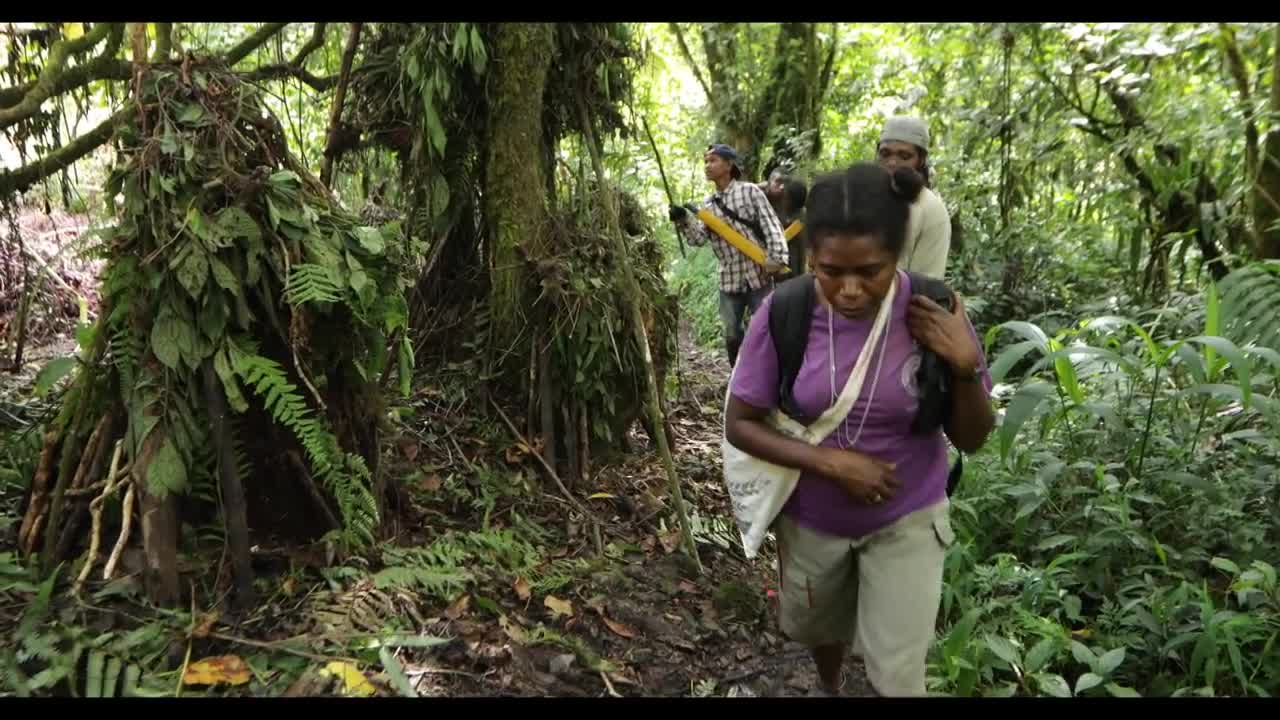 Tanah Papua: A Paradise for Birds