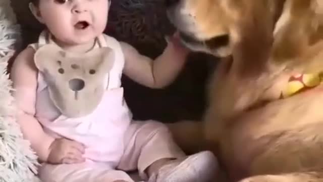 Cute Baby ❤️ Play with Outstandard Dog🐶🐶🐶