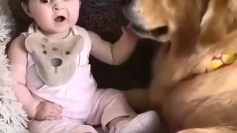 Cute Baby ❤️ Play with Outstandard Dog🐶🐶🐶