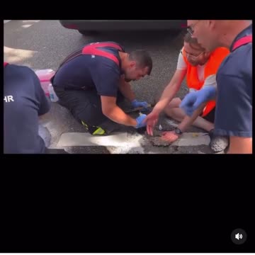 Climate normies turning into cement statues for the cause