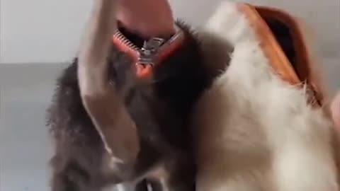 Dahmer's English Brother Making An Honest Living