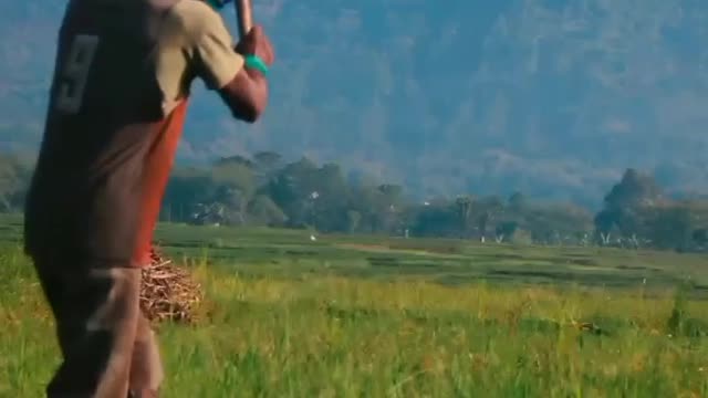 Keindahan Suasana Pedesaan Ketika Pagi Hari