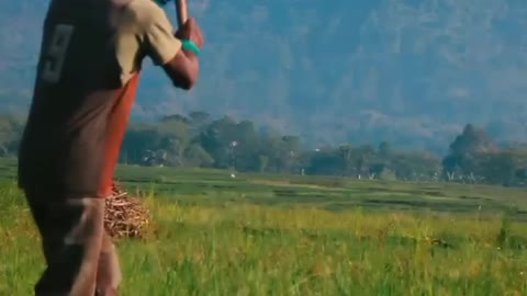 Keindahan Suasana Pedesaan Ketika Pagi Hari