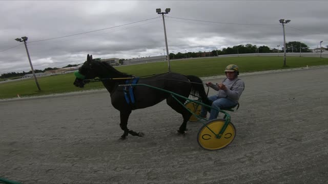 Standardbred helmet cam