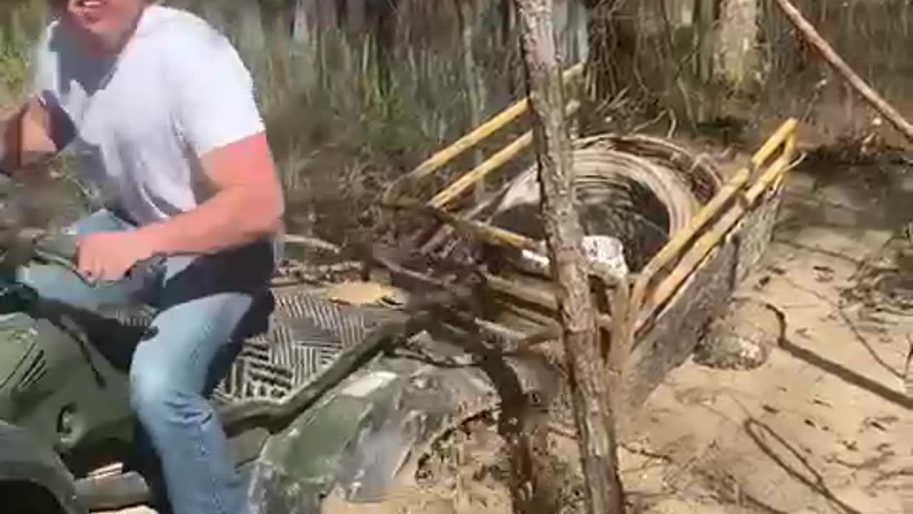 Stuck in the mud