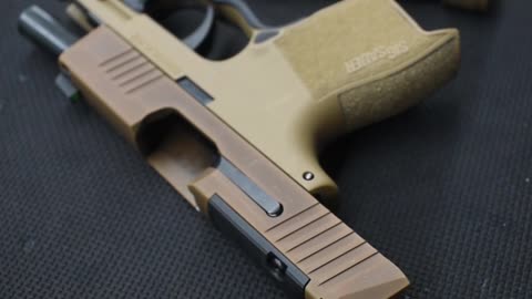 Sig P365 | The Model That Never Stops