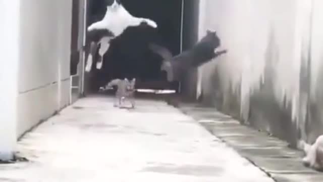 My God ... escaped like a rocket