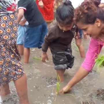 Dhan day in Nepal school children