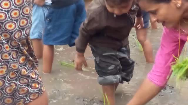 Dhan day in Nepal school children