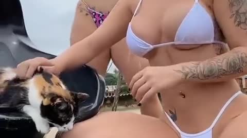dogs are people's friends