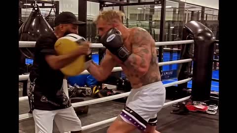 Jake Paul vs. Andrew Tate Face Off