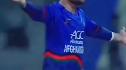 Funny Cricket Moments Great Fun