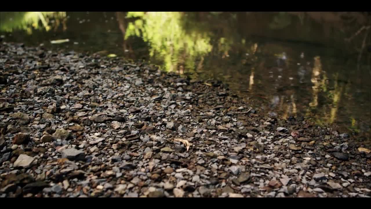 New Zealand in 4K (Ultra HD)