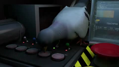 Pigeon impossible