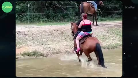 महंगा पड़ा जानवरों से पंगा .Best Funny Animal Videos 2023 #viral #funny