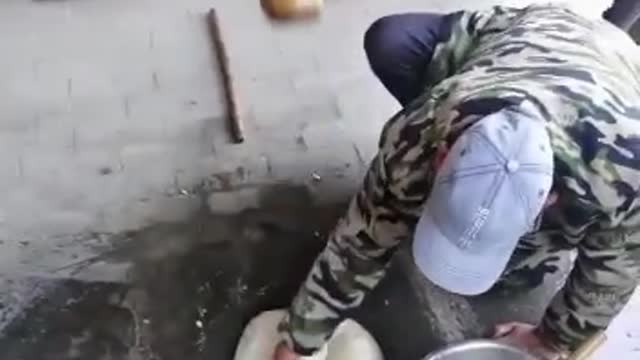 How old fashioned artisan bread is made