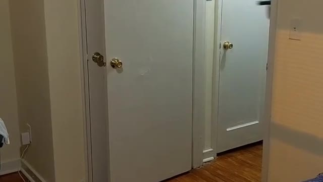 I asked one of my roommates to sweep the house