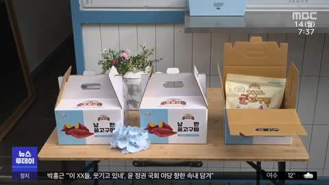 겨울에 군고구마? "아이스 고구마 맛보세요"