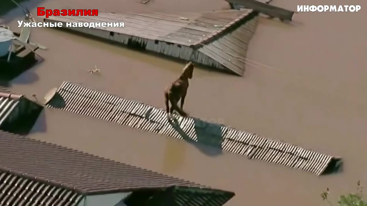 BRAZILIE ZÁCHRANA NA STŘEŠE