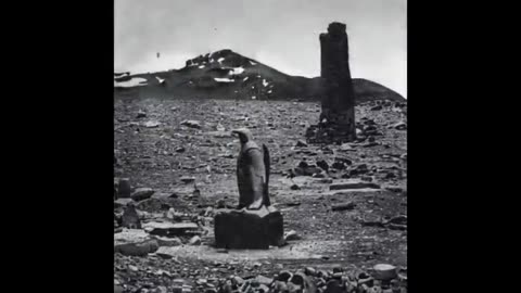 THE ICE WALL EXPEDITION ( 61 PHOTOS ) 1912 CAPTAIN ROBERT SCOTT EVIDENCE OF ANCIENT CIVILIZATIONS