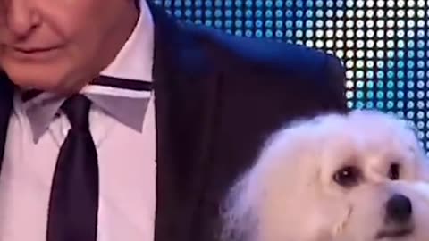 BGT Talking dog