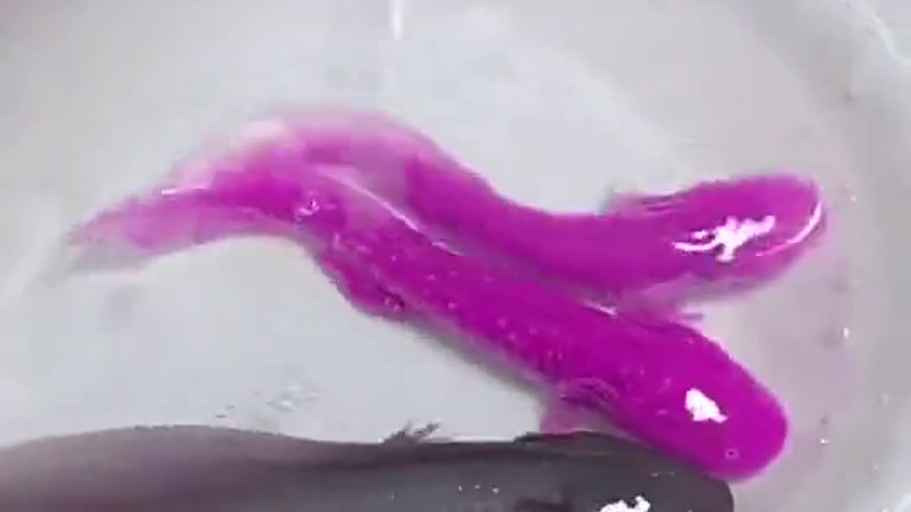 How to make sure I can go with you tomorrow night I will be there