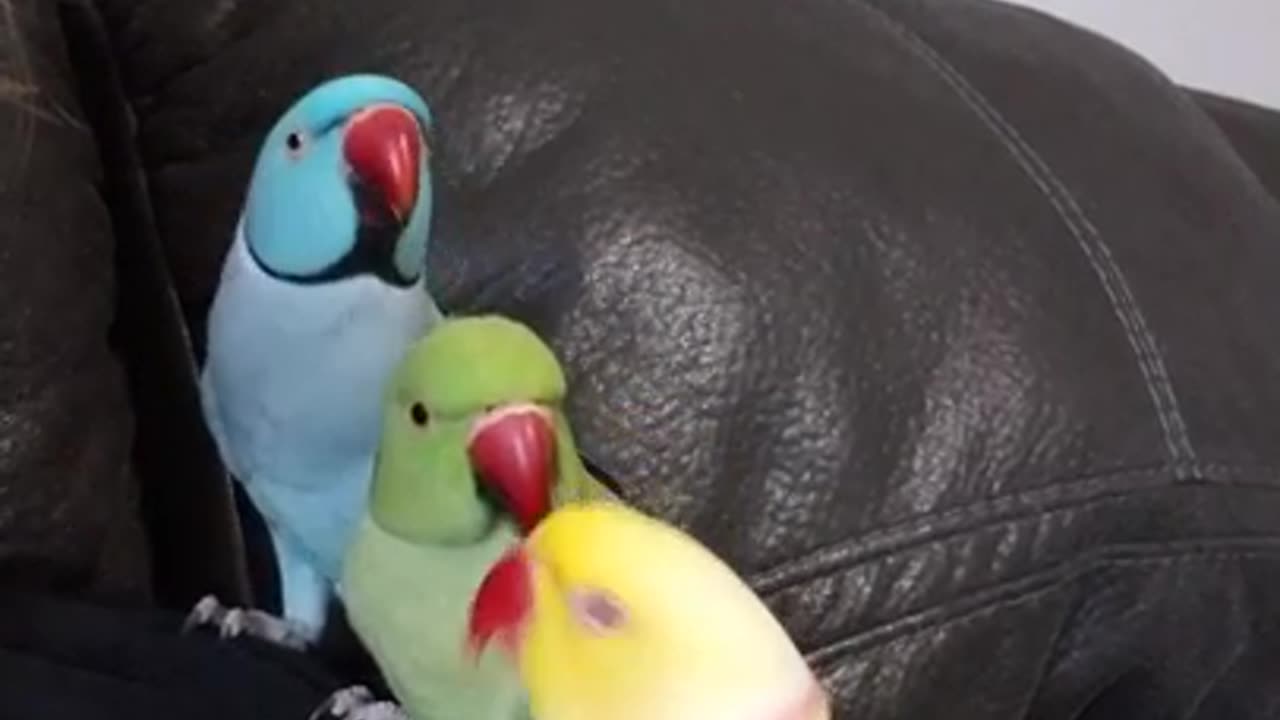 Kisses to start the day