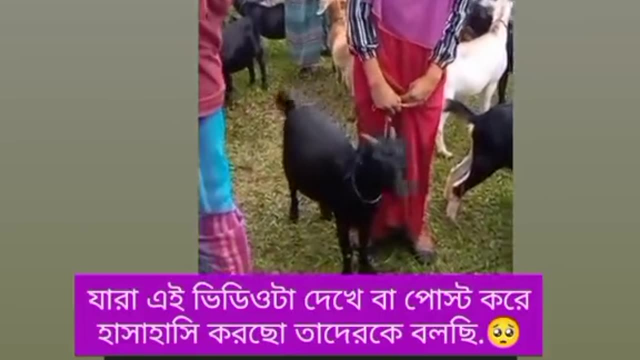 বাস্তবতা অনেক কঠিন 😌😌😥